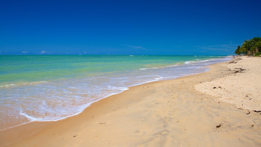 Pitinga Beach featuring a sandy beach, surf and general coastal views