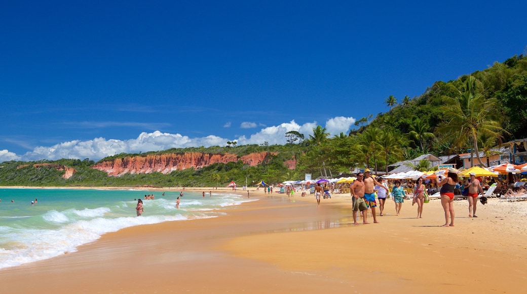 Pitinga Beach featuring tropical scenes, waves and a beach