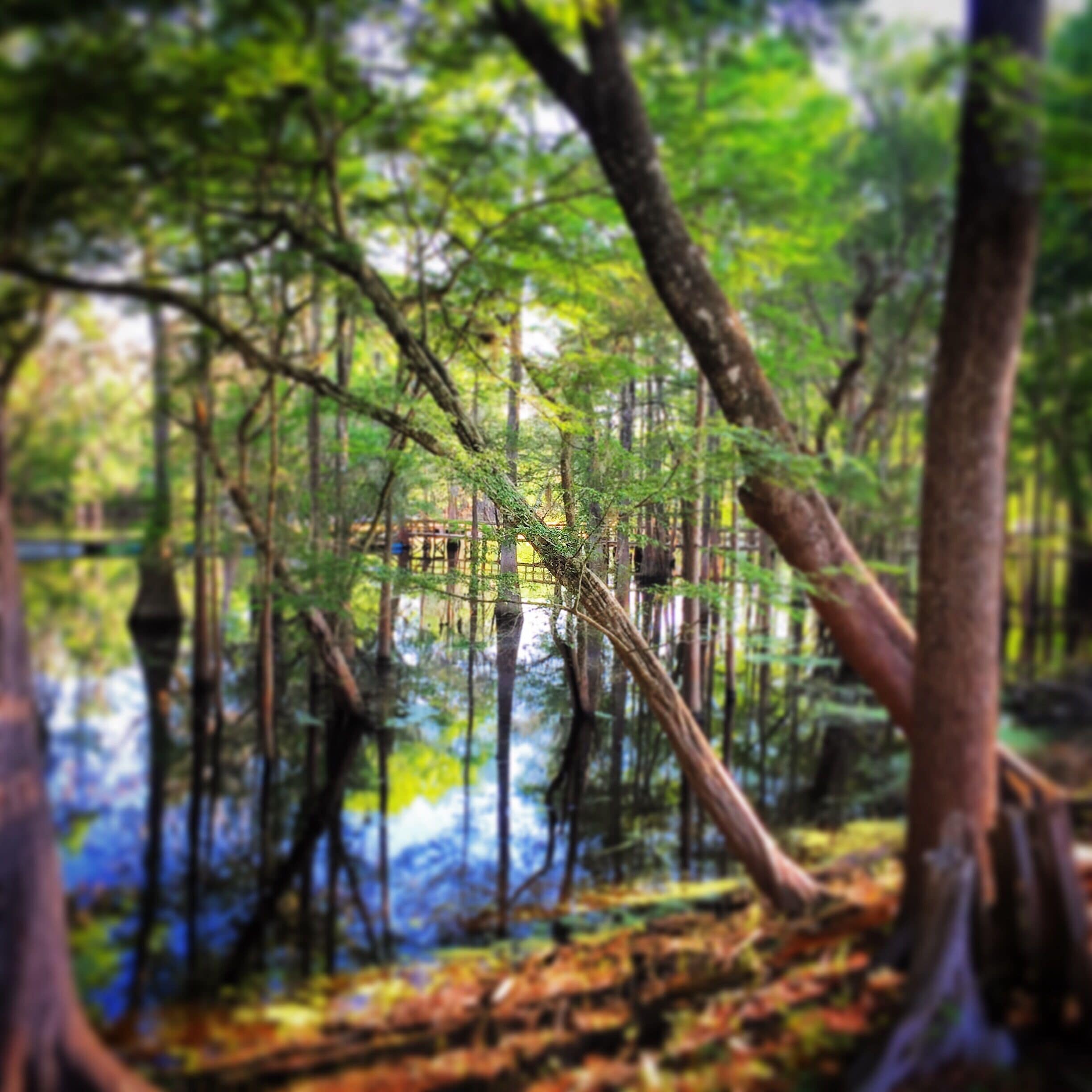 Farm to fam music fest camping along the river