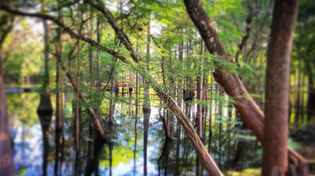Farm to fam music fest camping along the river