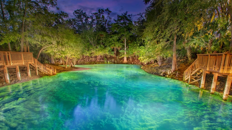 A clear, turquoise pool surrounded by wooden decks and dense forest.