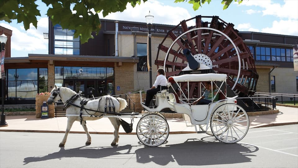 Centrum toont straten en landdieren