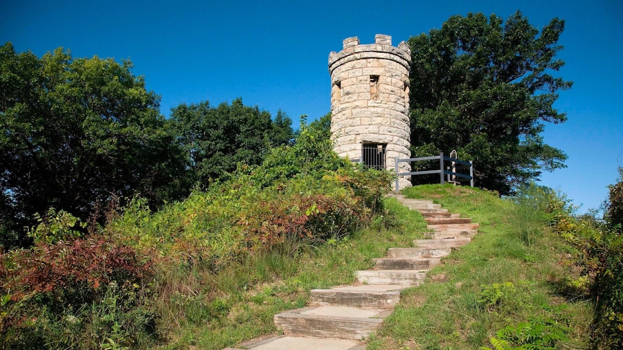 Downtown Dubuque featuring a monument and heritage elements