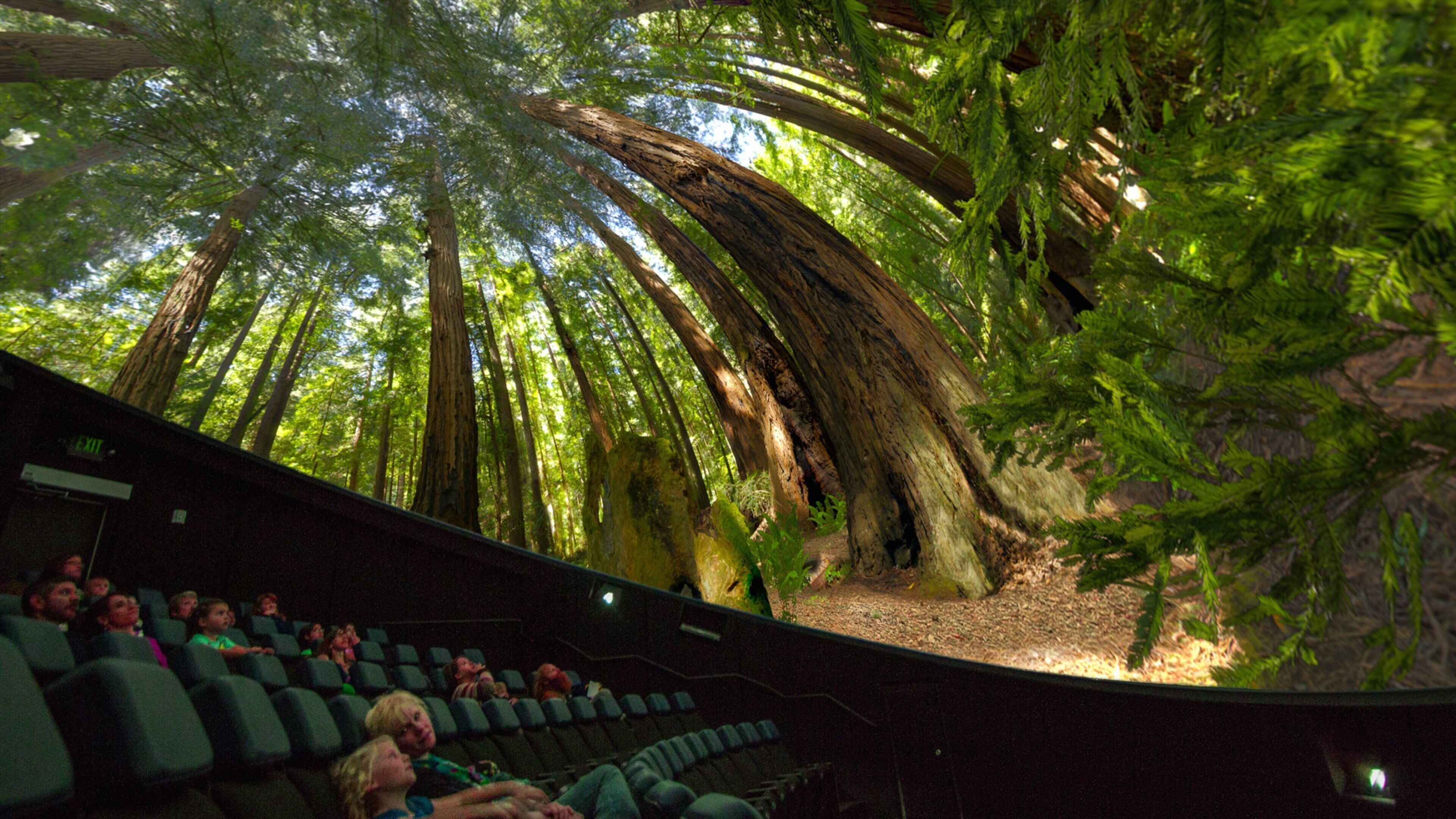 柯林斯堡探索博物館 呈现出 內部景觀