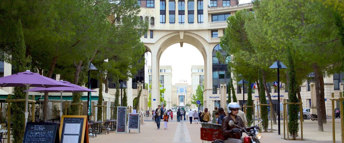 ์์คํ๋ฌ๋ค์ด๋ ๋ ์ ๋ฝ ์ ํน์ง ๋ชจํฐ๋ฐ์ดํฌ ํ๊ธฐ ๊ณผ ๊ฑฐ๋ฆฌ ํ๊ฒฝ ๋ฟ๋ง ์๋๋ผ ๋จ์