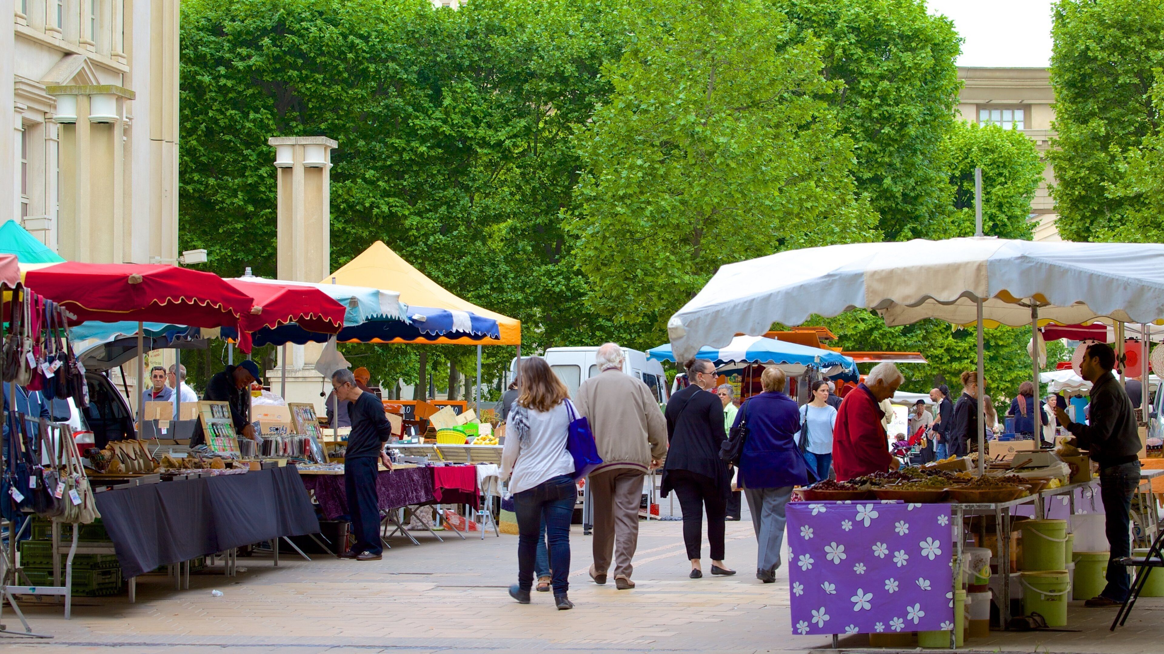 Esplanade de l\'Europe som inkluderar shopping och gatuliv såväl som en stor grupp av människor