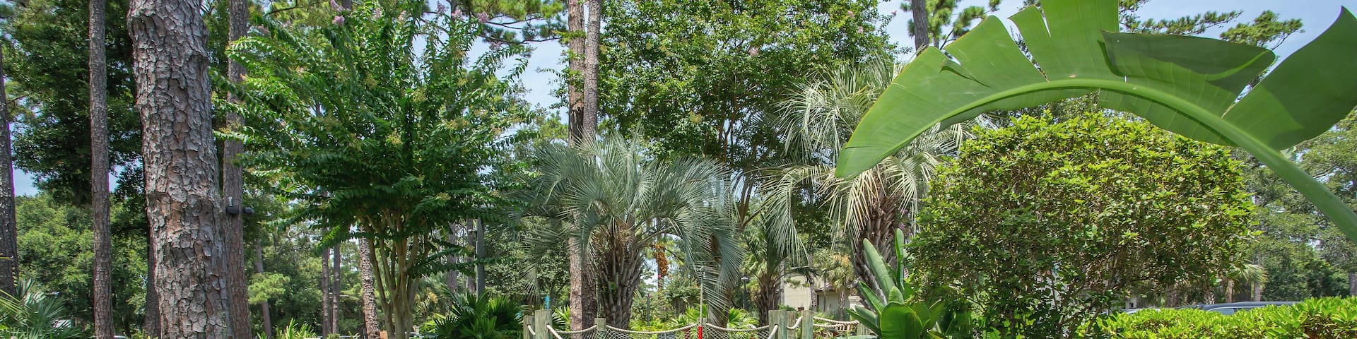 HiltonHeadIsland_AdventureCove_6188182_0005