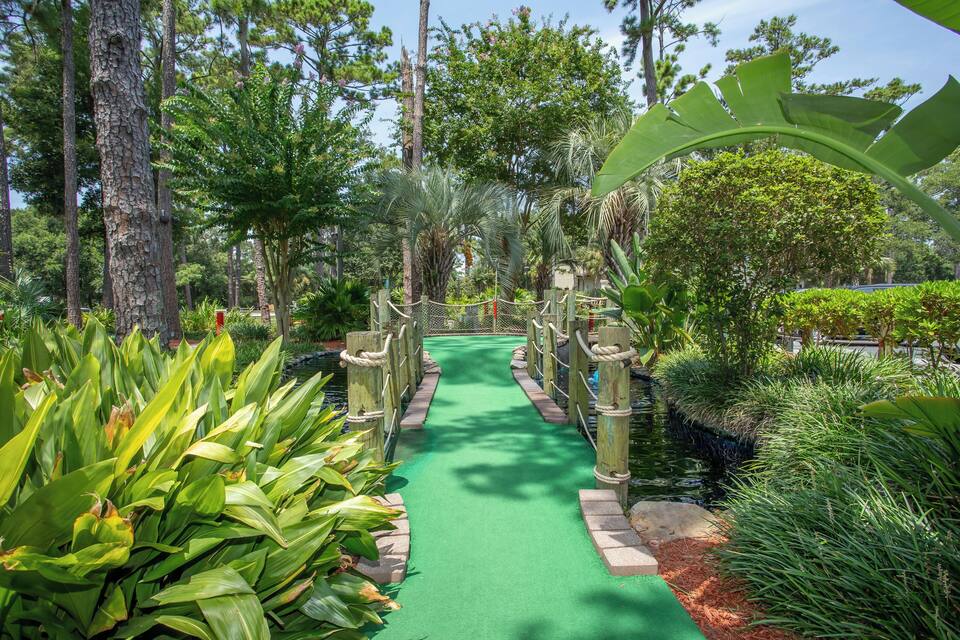 Un sendero verde bordeado por plantas y árboles tropicales, que conduce a un puente de madera.
