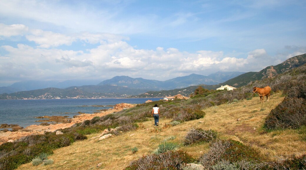 Calcatoggio France - (Corse du Sud), the Gulf of the Liscia.