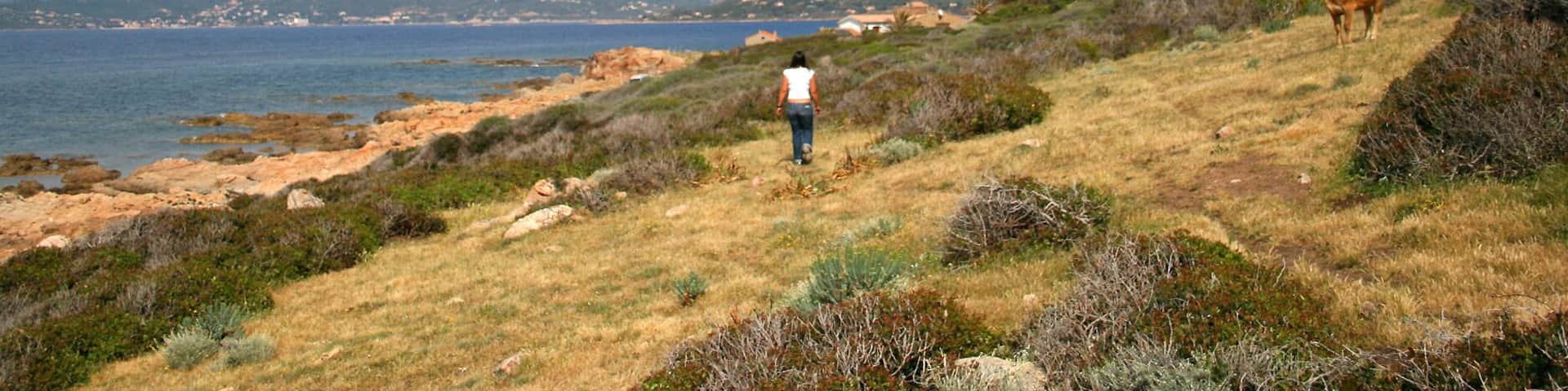 Calcatoggio France - (Corse du Sud), the Gulf of the Liscia.