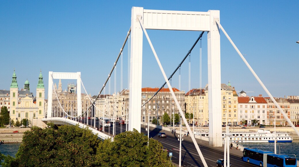Elisabethbrücke das einen Bucht oder Hafen, Stadt und Hängebrücke oder Baumkronenpfad