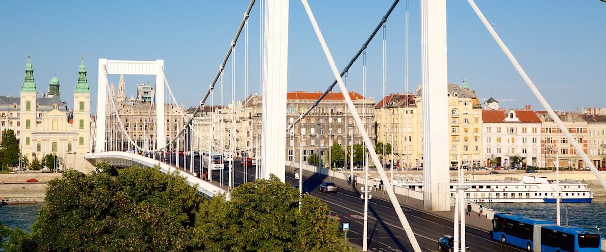Pont Ălisabeth mettant en vedette passerelle ou pont suspendu, baie ou port et ville