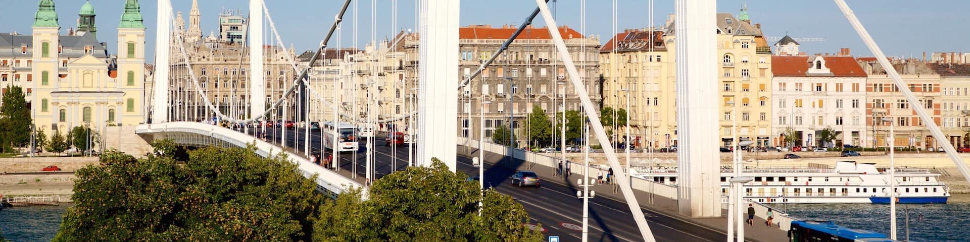 Elisabeth Bridge showing a suspension bridge or treetop walkway, a bay or harbor and a city