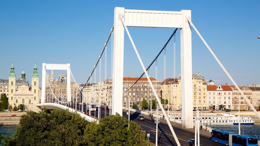 Elisabeth Bridge showing a suspension bridge or treetop walkway, a bay or harbor and a city