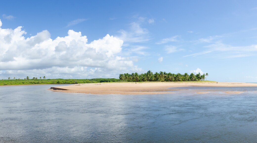 The village of Baixio is a popular tourist destination, known for its lagoons, rivers, crystal-clear waters and the lush nature of the Atlantic Forest. North coast, Costa dos Coqueiros, Bahia - Brazil