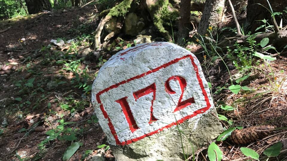 A stone sign with the number 172 in a forest.