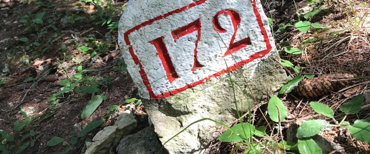 A stone sign with the number 172 in a forest.