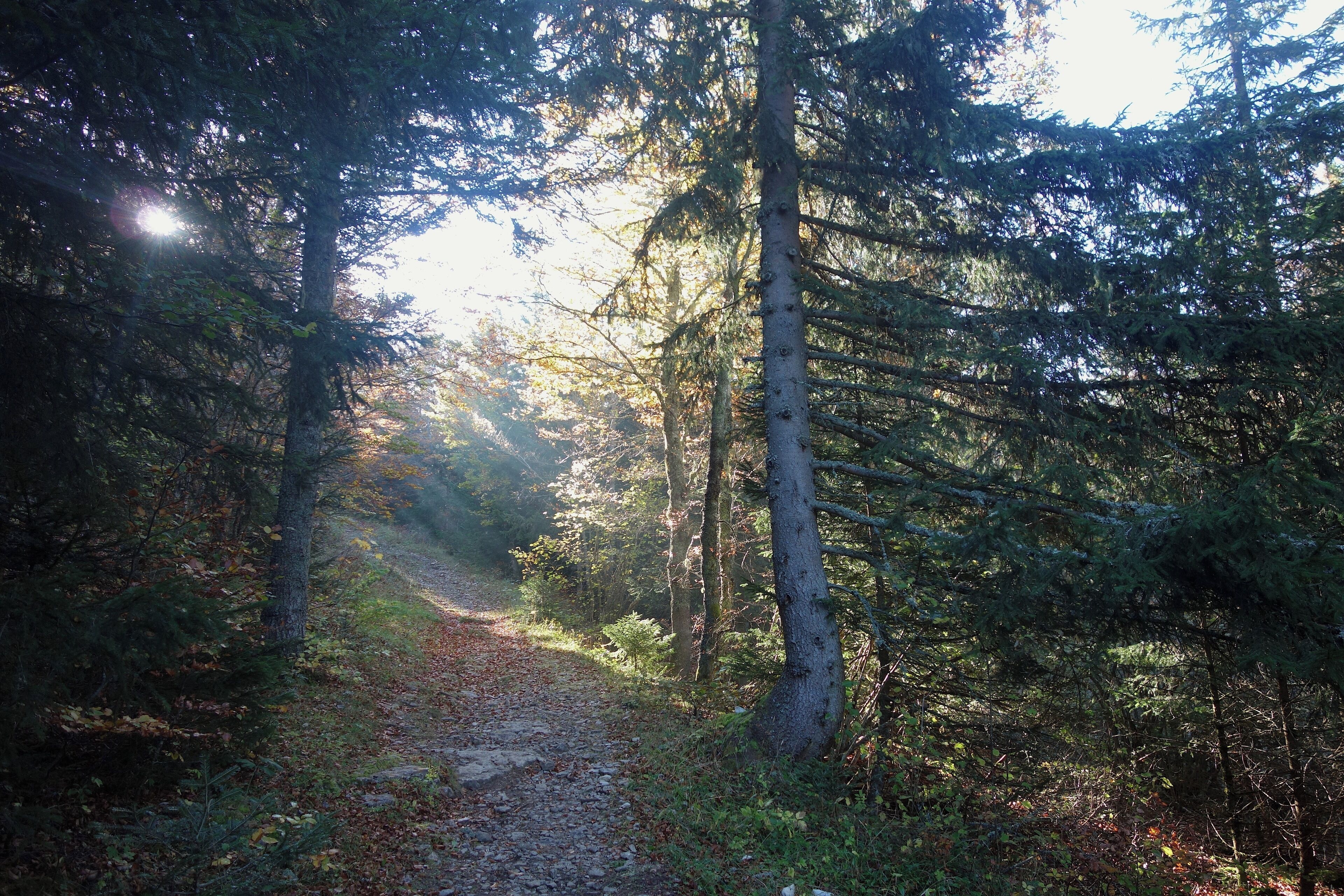 "Chemin d'Enfer", ancient path for smuggling on Vercors, near the Col de l'Arc