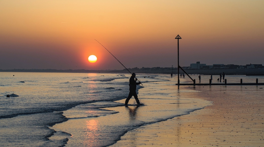 Unusually hot May day in Southern England and someone has definitely caught the sun.