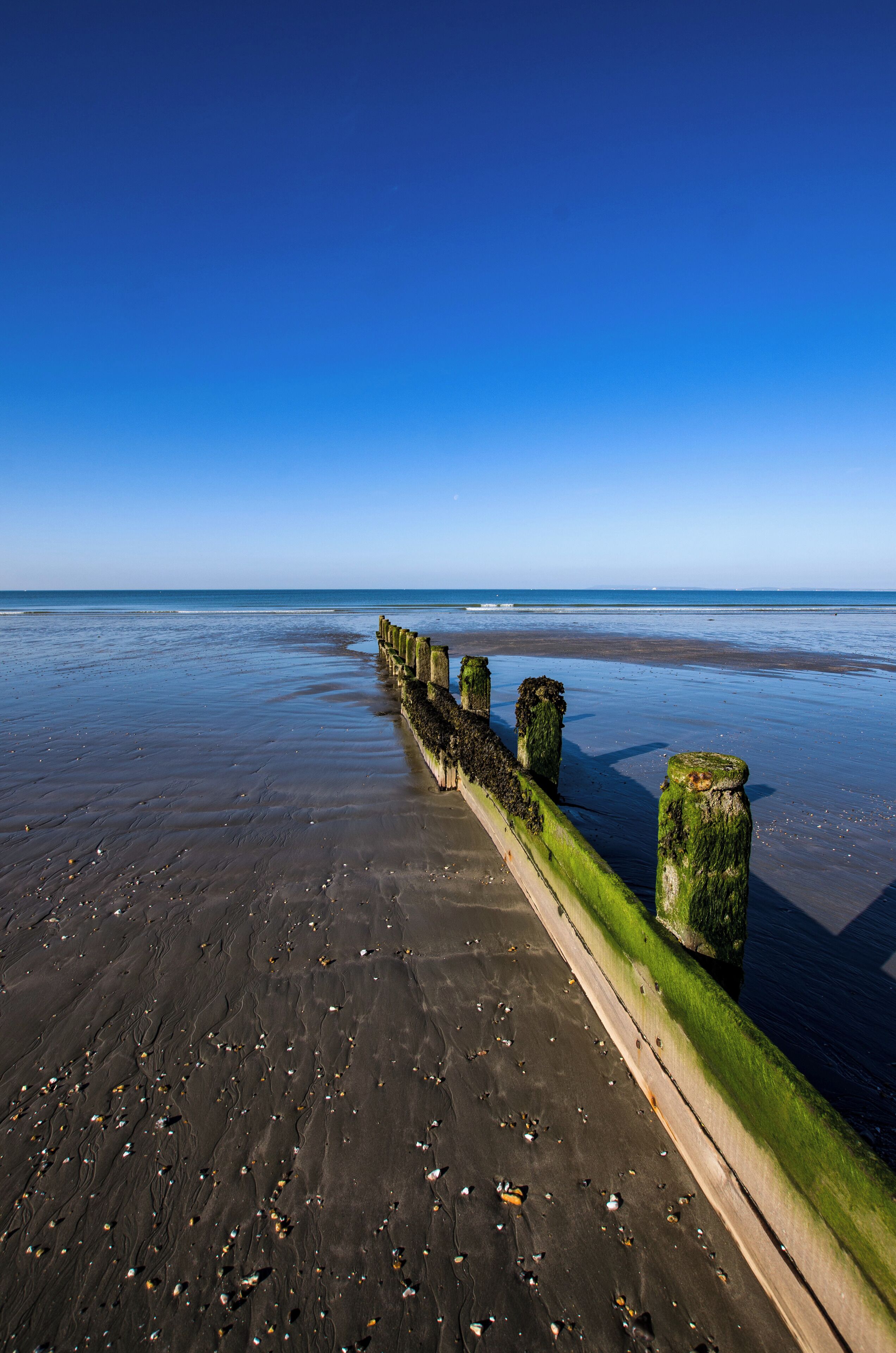 Low tide reveals fossil shells and sharks teeth.