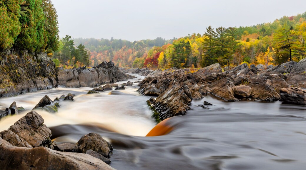 Parque estatal Jay Cooke