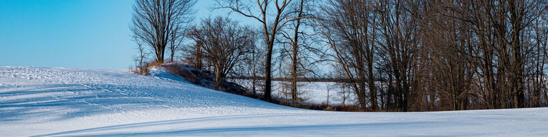 Windswept, Winter Field in South Bruce