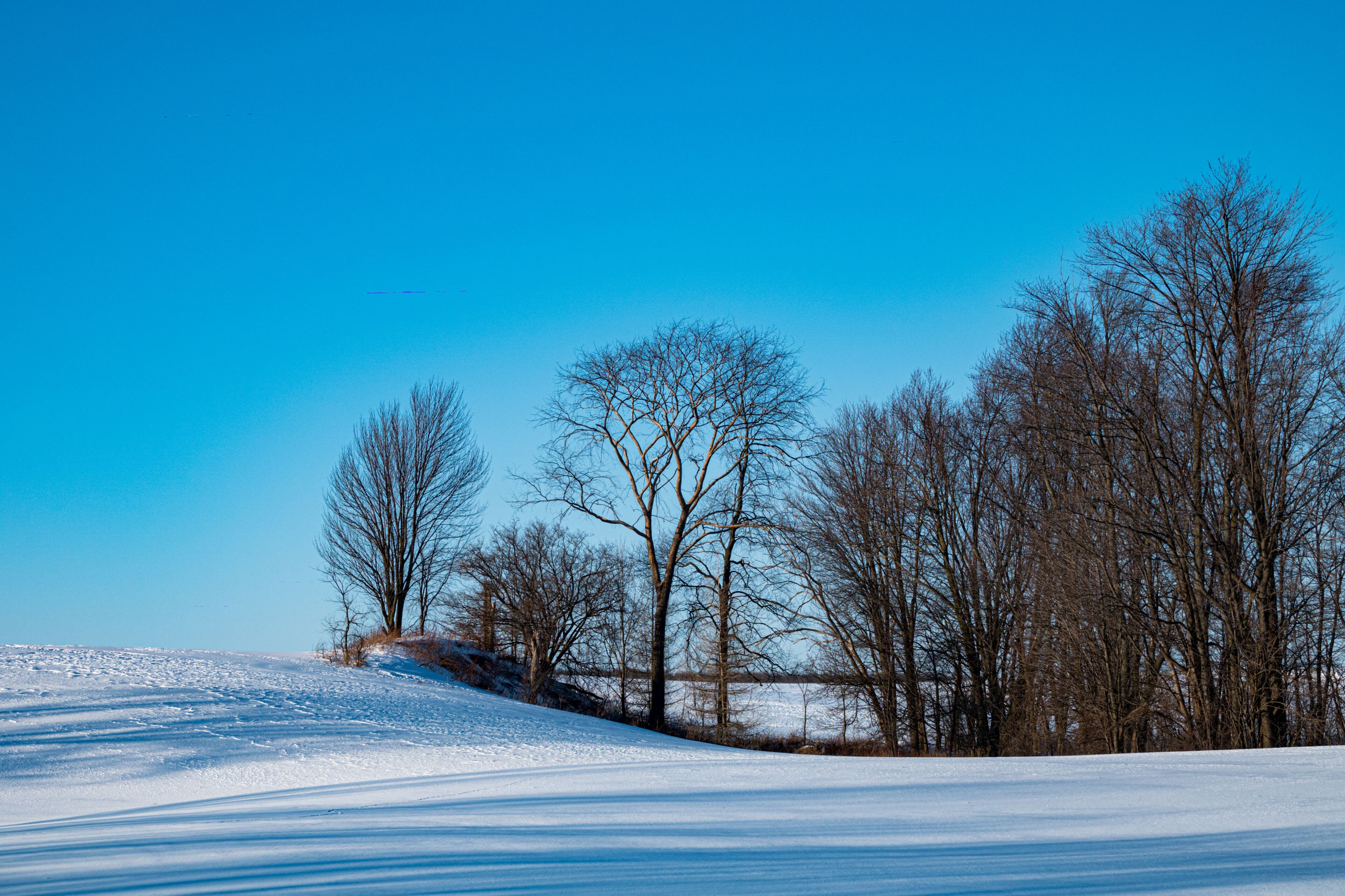 A snow-covered landscape with leafless trees and a clear blue sky.