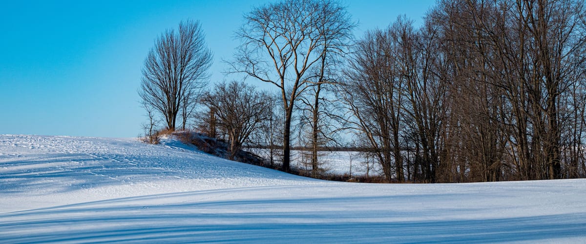 A snow-covered landscape with leafless trees and a clear blue sky.