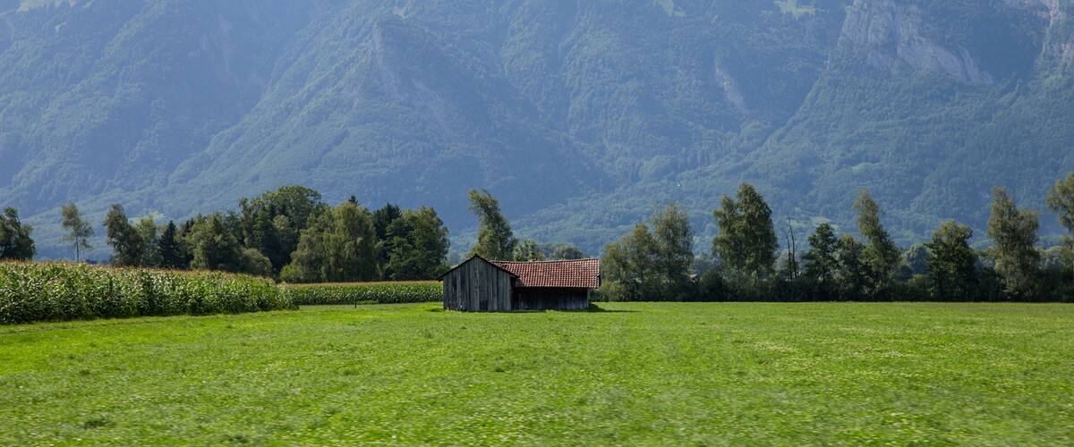 A green field with a small wooden barn and a mountain range in the background.