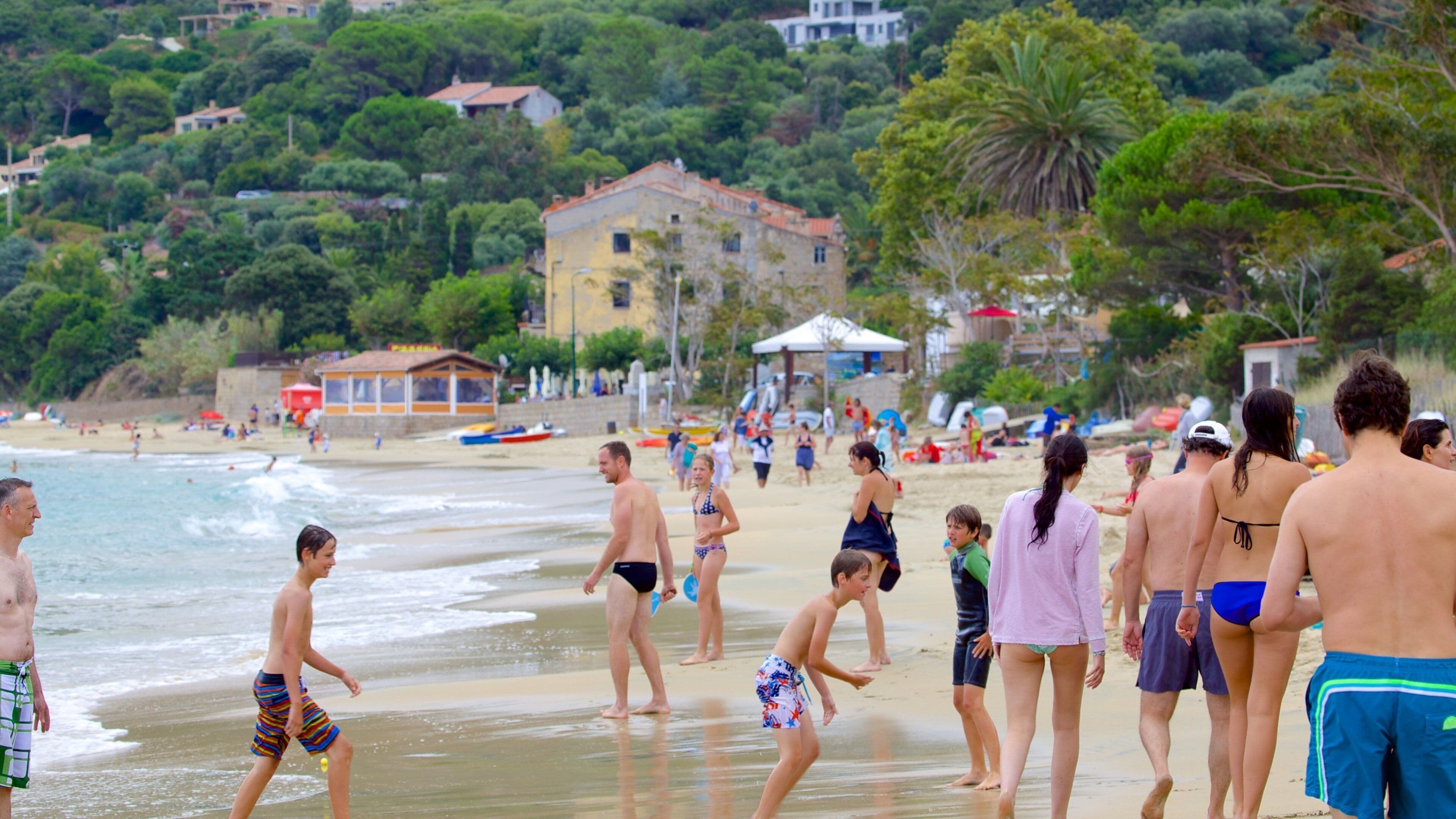 Belvedere-Campomoro showing a beach as well as a large group of people