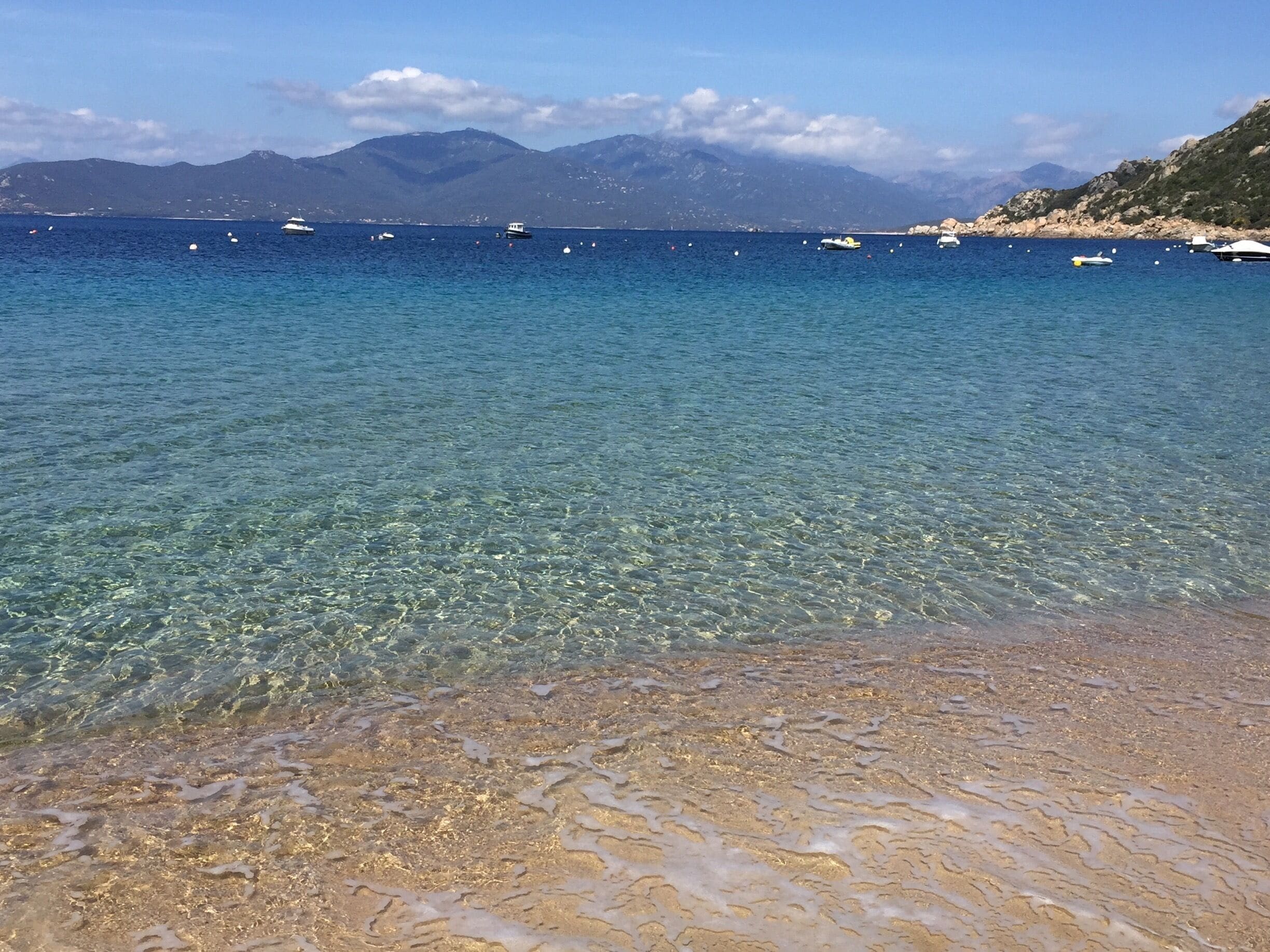 Amazing beach in campomoro -Corsica 
#beachbound