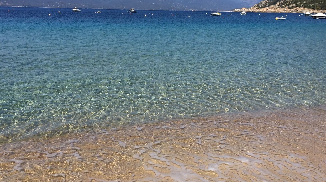 Amazing beach in campomoro -Corsica
#beachbound