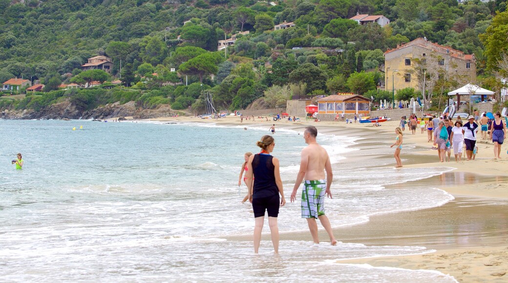 Belvedere-Campomoro showing a beach