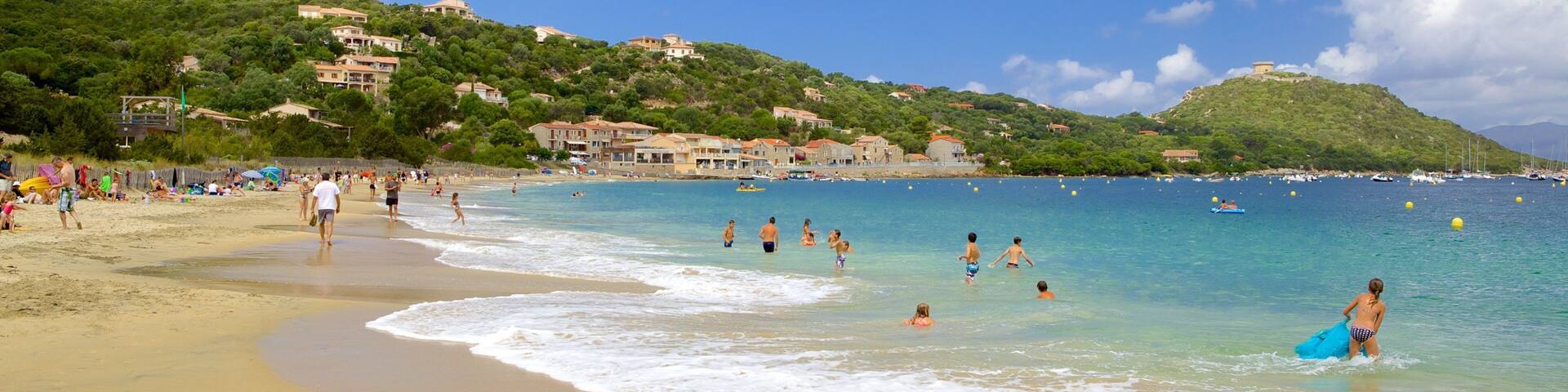 Belvedere-Campomoro which includes a sandy beach and swimming