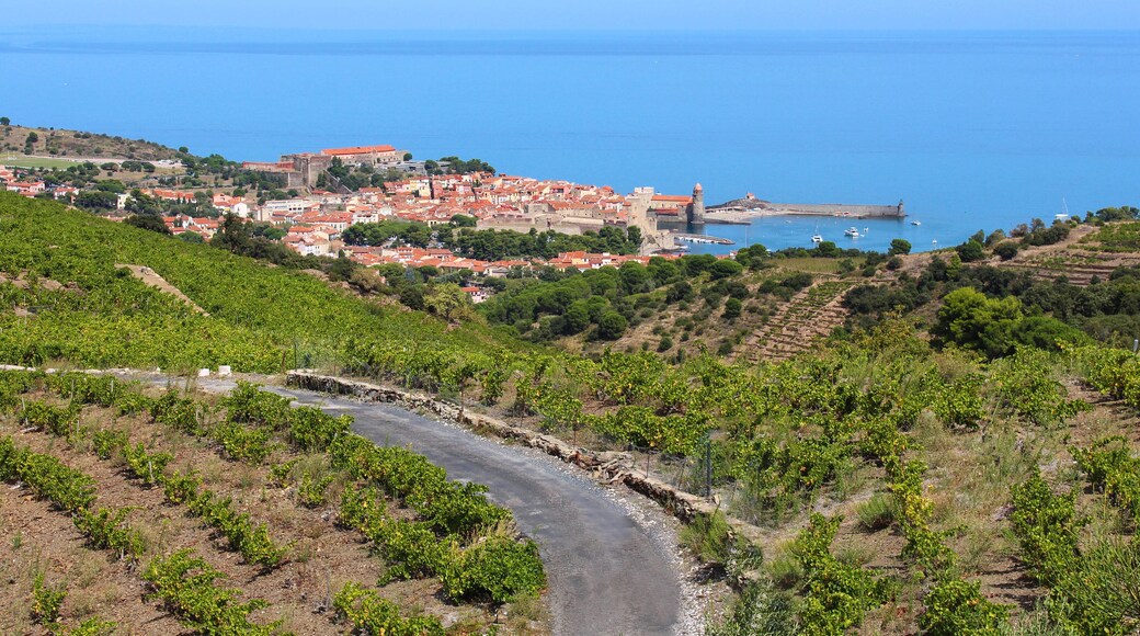 Collioure (France)