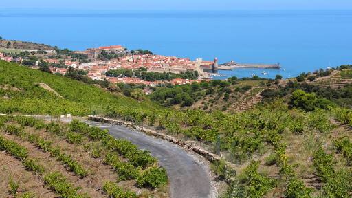 Collioure (France)