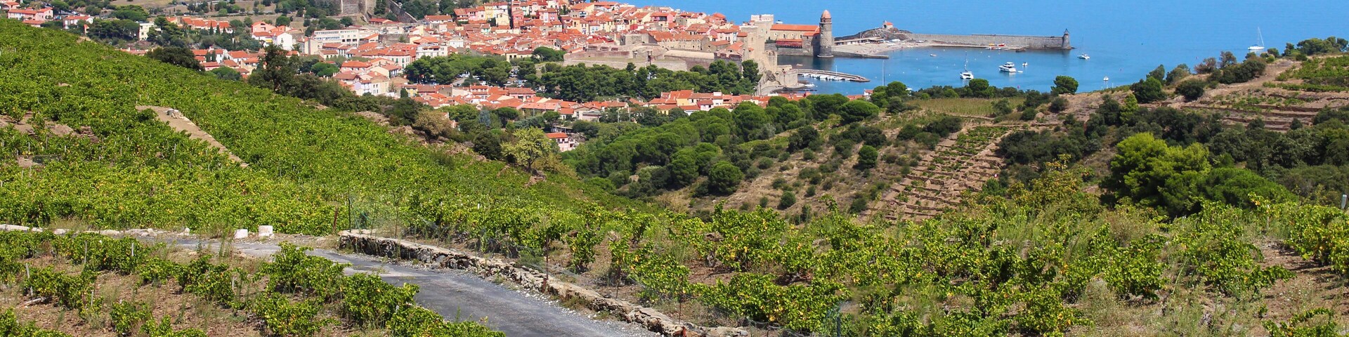 Collioure (France)