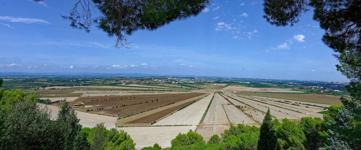 A panoramic view of agricultural fields with a distant cityscape and mountains.