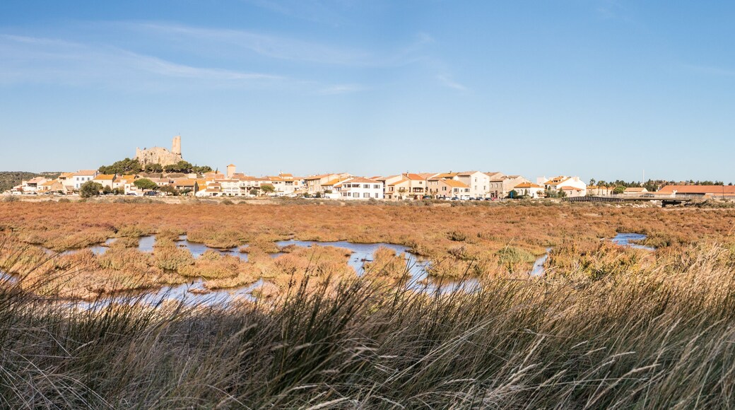 Saint-André-de-Roquelongue