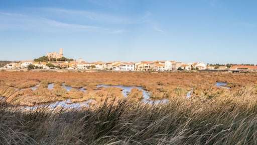 Saint-Andre-de-Roquelongue