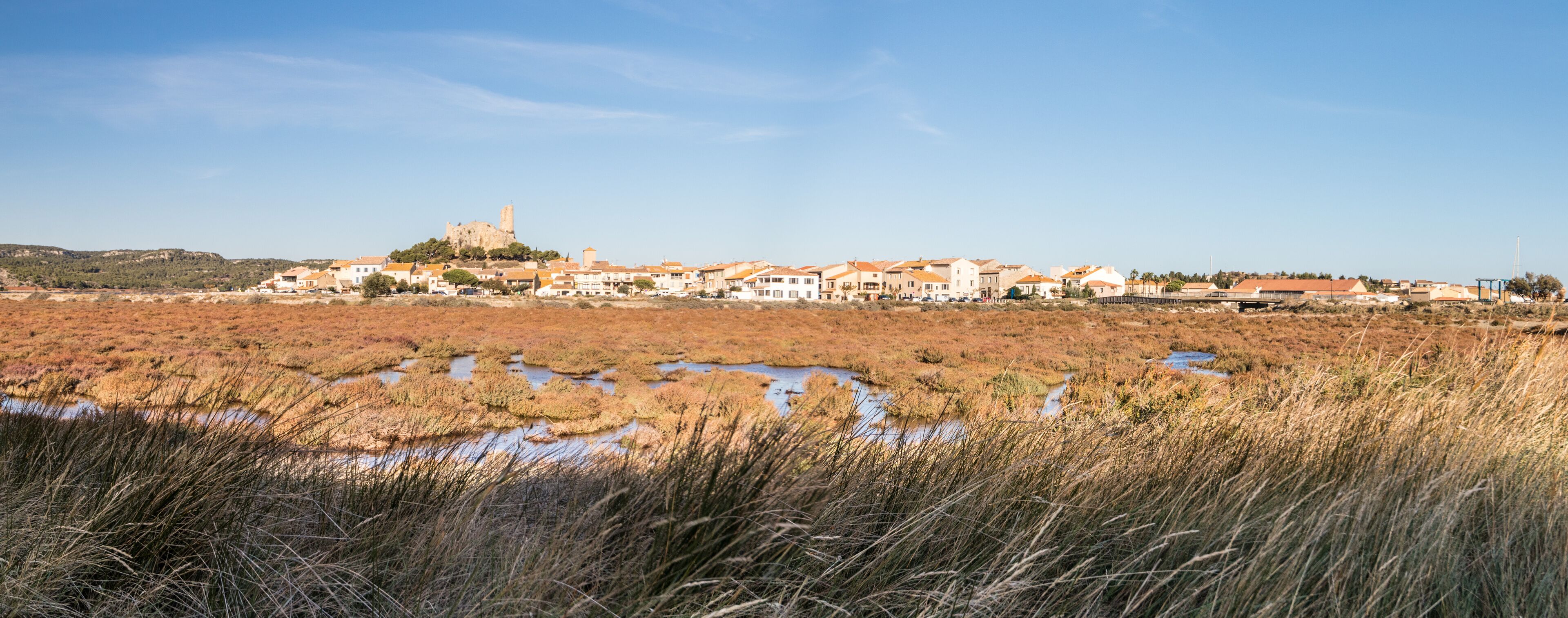 A coastal town with a prominent castle on a hill, surrounded by houses and a marshy foreground.