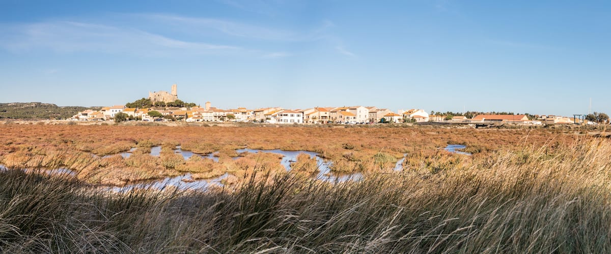 A coastal town with a prominent castle on a hill, surrounded by houses and a marshy foreground.