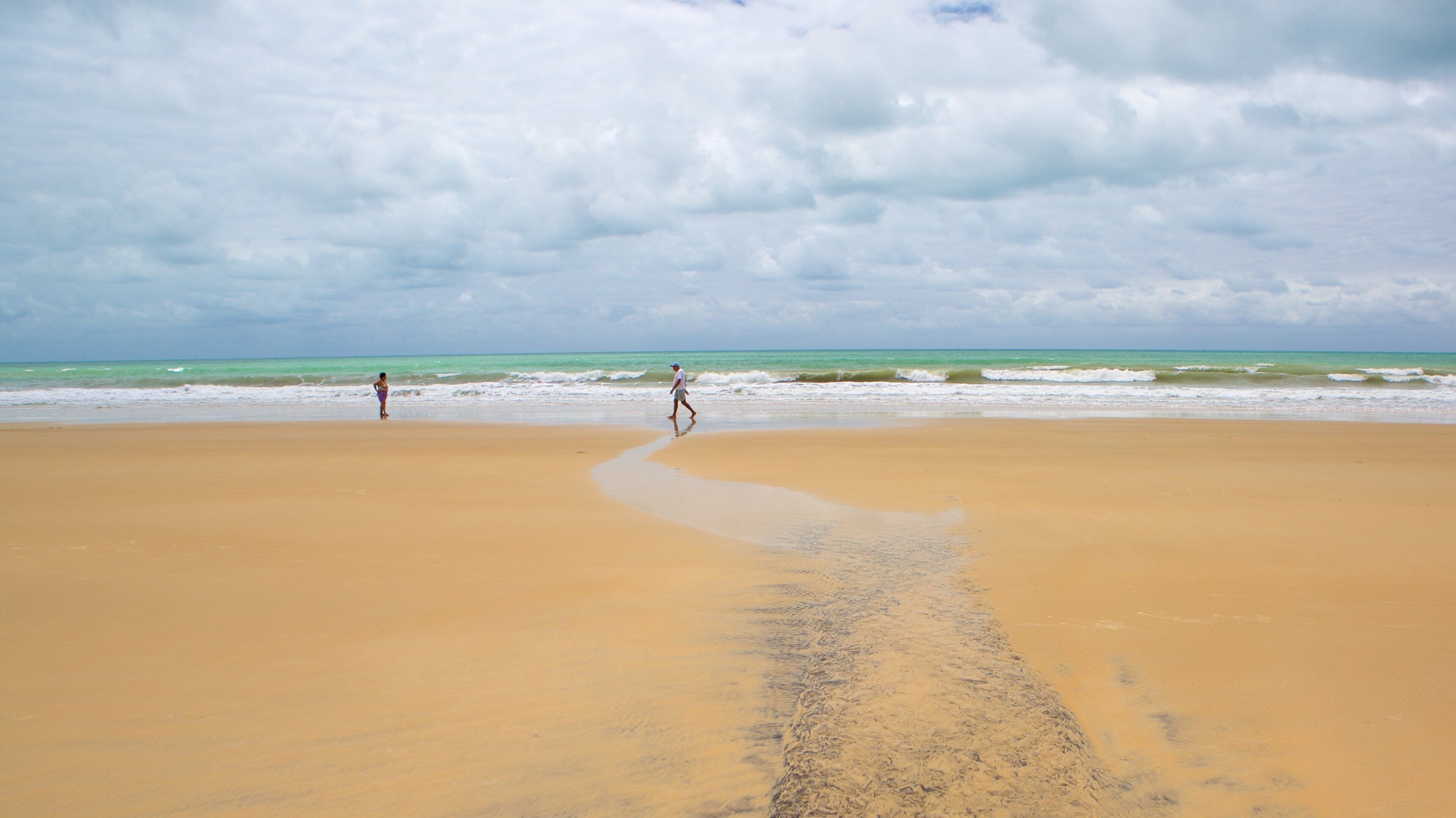 Cotovelo Beach showing general coastal views and a sandy beach