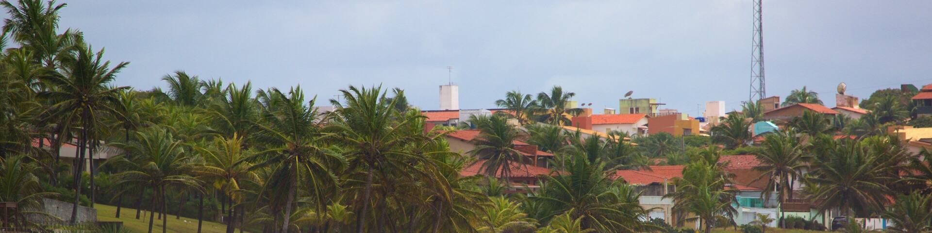 Cotovelo Beach showing tropical scenes, a beach and general coastal views