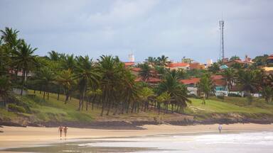 Cotovelo Beach showing tropical scenes, a beach and general coastal views