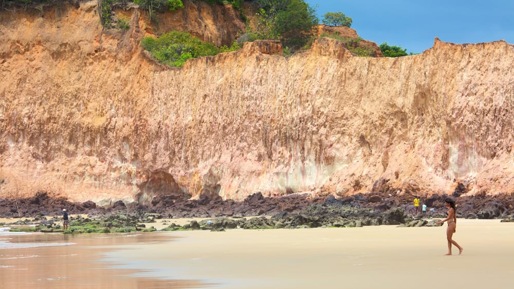 Cotovelo Beach showing a sandy beach