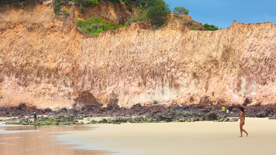 Cotovelo Beach showing a sandy beach