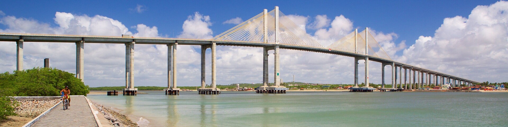 Newton Navarro Bridge showing a bay or harbor, general coastal views and a bridge