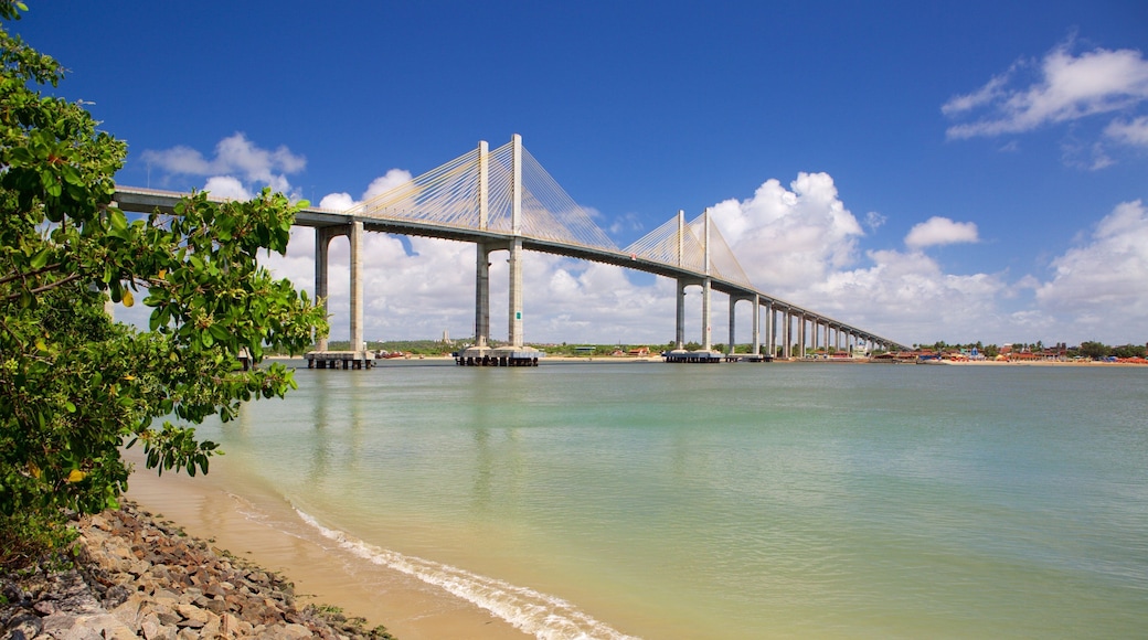 Newton Navarro Bridge showing general coastal views, a bay or harbor and a bridge