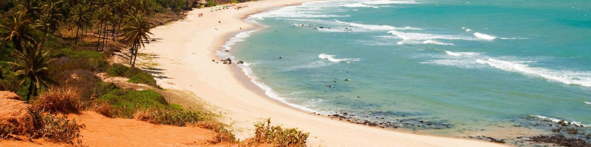Beautiful beach with palm trees at Praia do Amor near Pipa Brazil